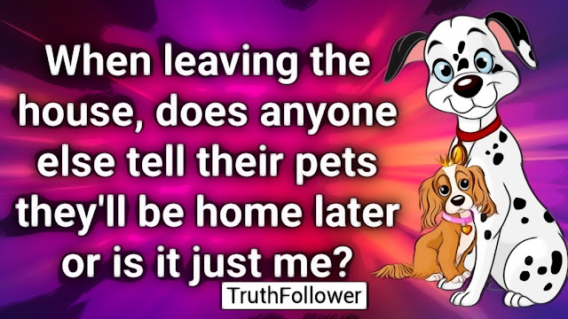 Say goodbye to your pets when leaving